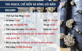 ĐƠN HÀNG THU HOẠCH, CHẾ BIẾN VÀ ĐÓNG GÓI NẤM - NAGANO